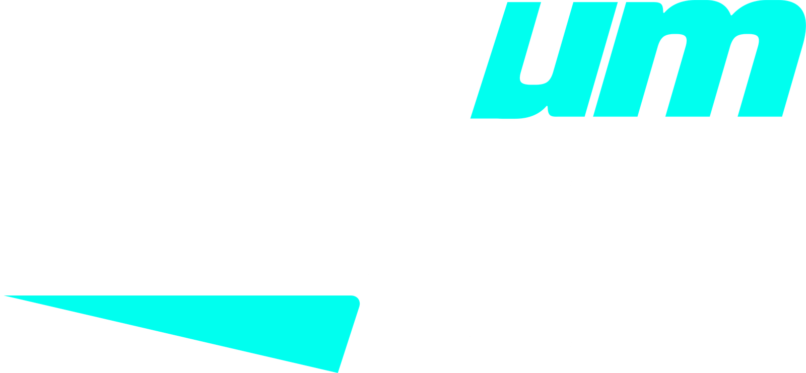 Logo 1PRA1
